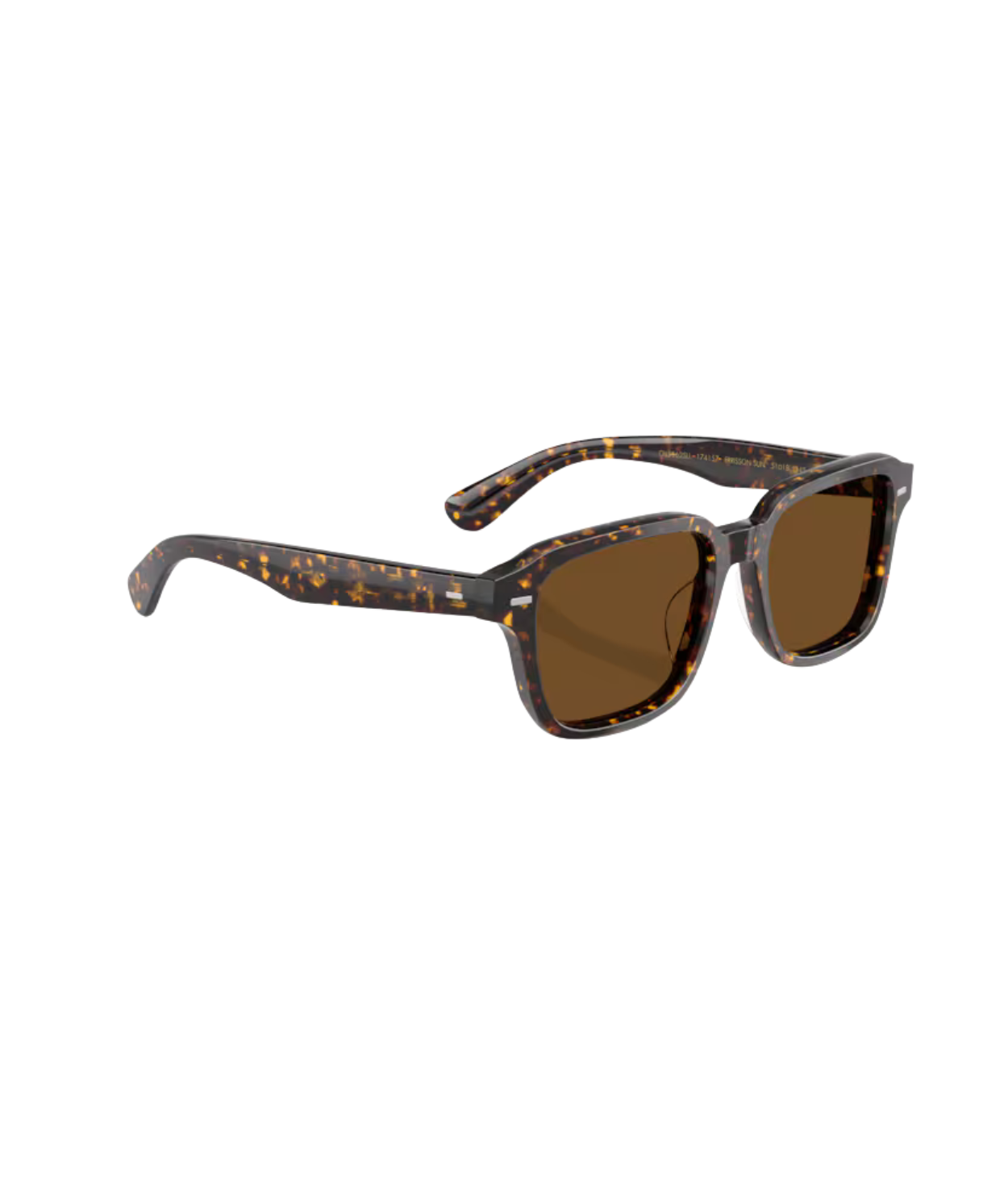 Atago tortoise-True brown polarized