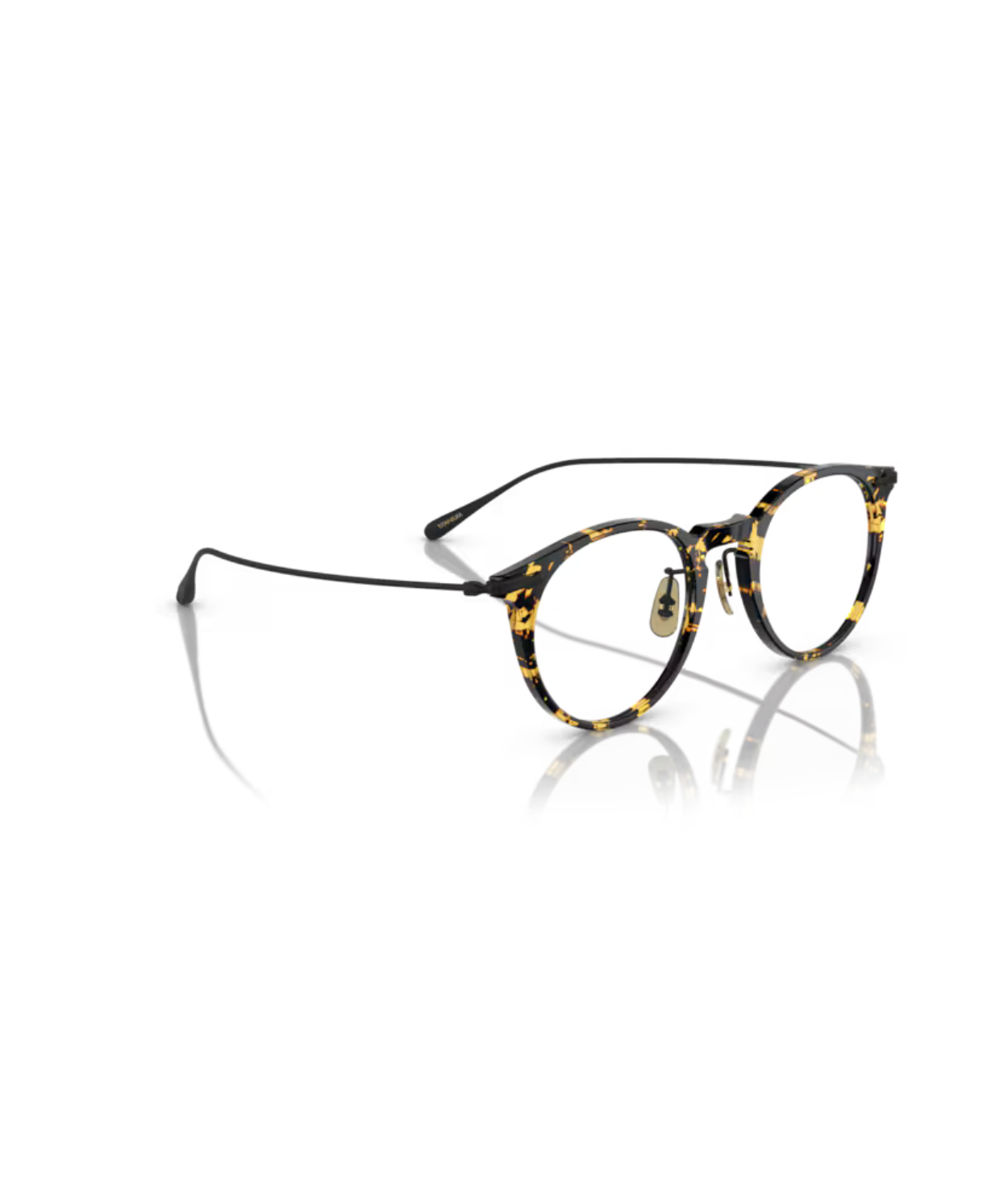 Tokyo tortoise