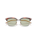 Tuscany tortoise/brushed silver
