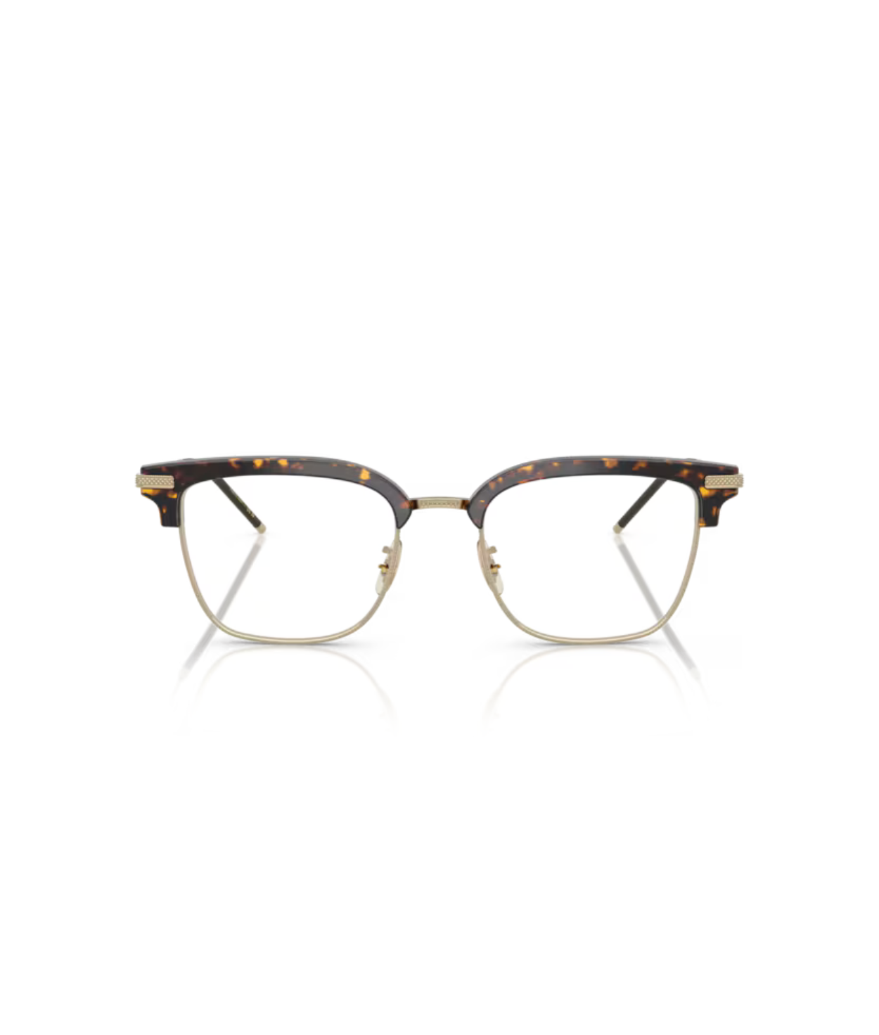 Atago tortoise/gold