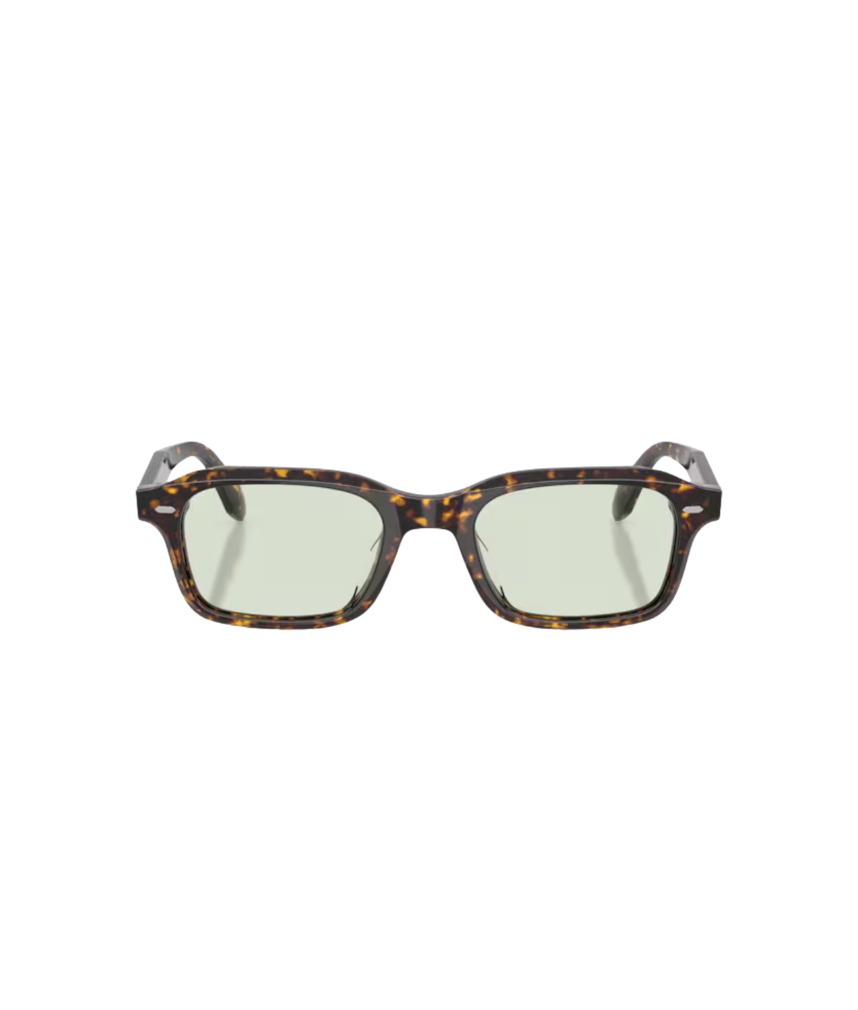 Atago tortoise-Fern wash to dark