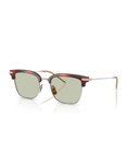 Tuscany tortoise/brushed silver