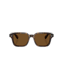 Atago tortoise-True brown polarized