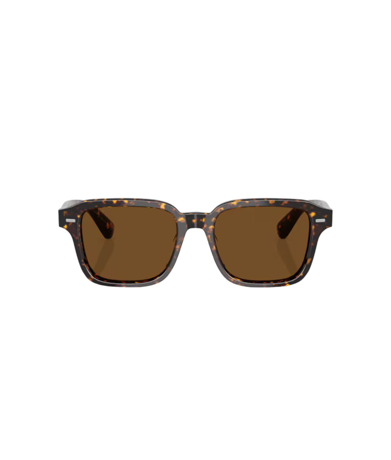 Atago tortoise-True brown polarized