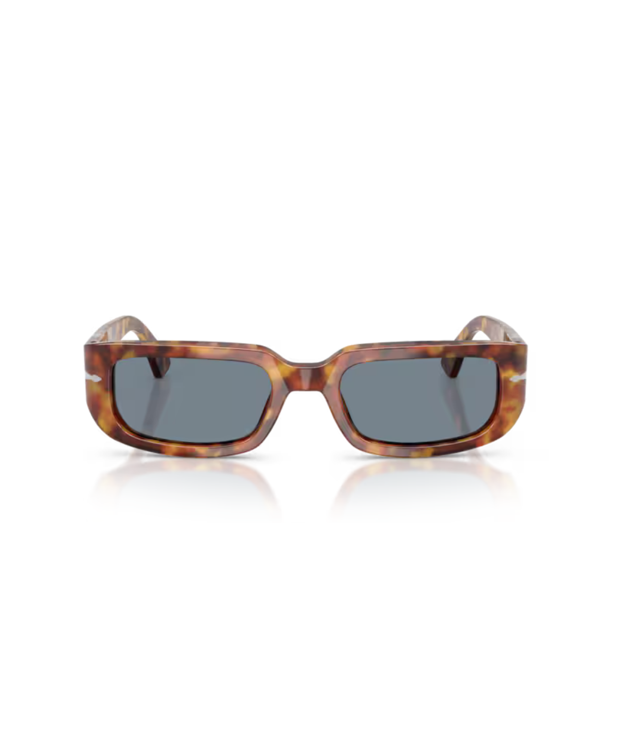 Brown tortoise-Light blue