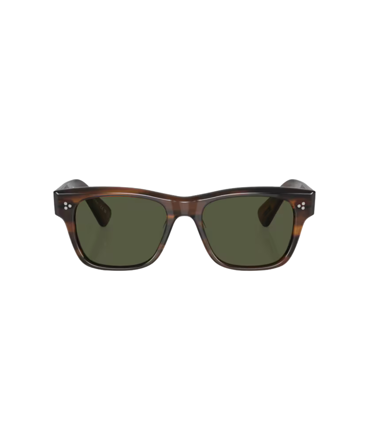Tuscany tortoise-G-15