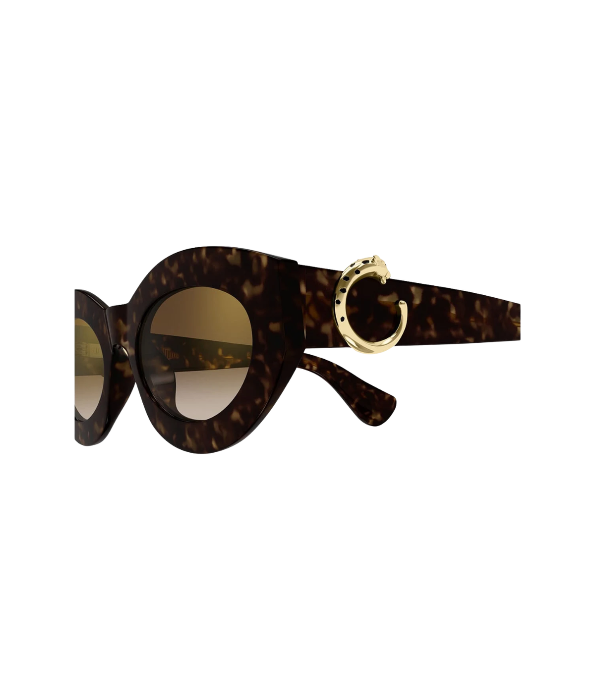 Havana-Brown