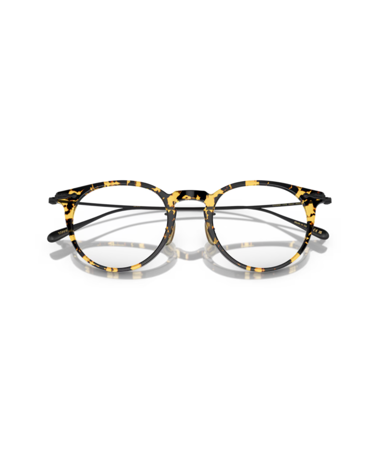 Tokyo tortoise