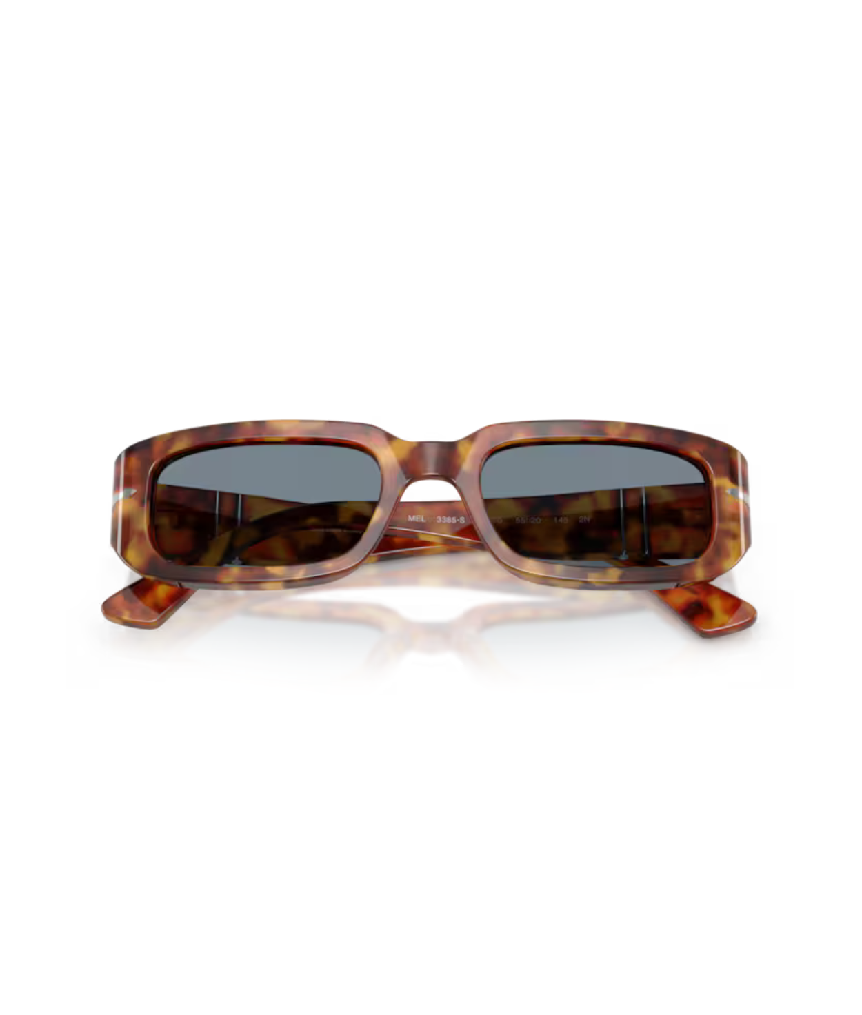 Brown tortoise-Light blue