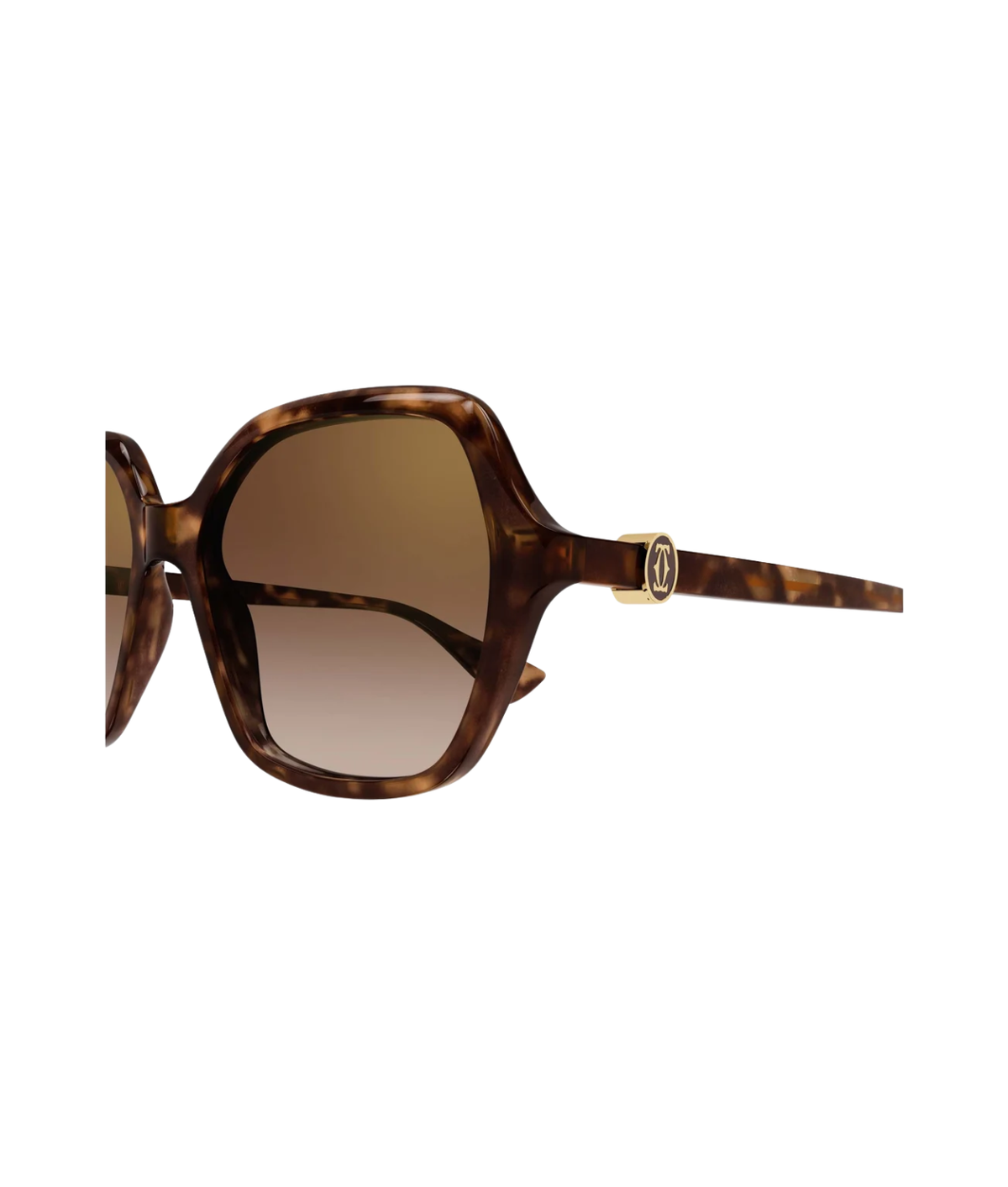 Havana-Brown