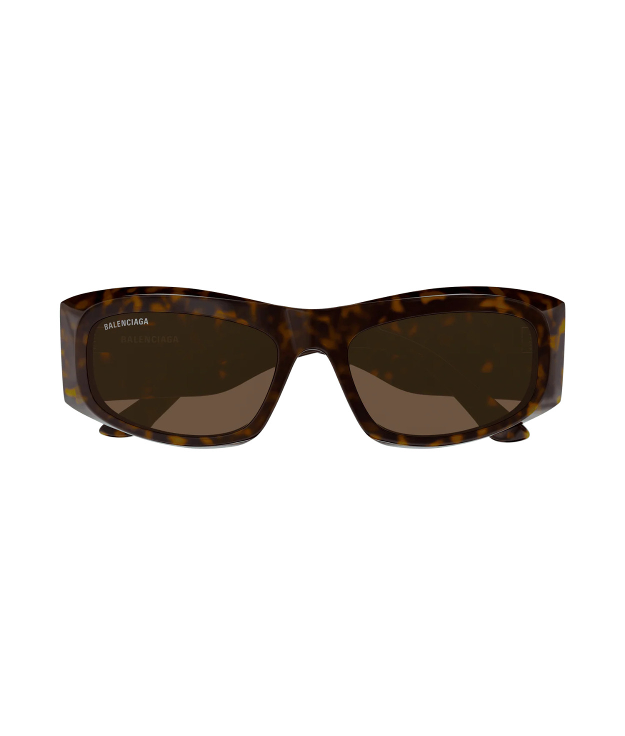 Havana-Brown