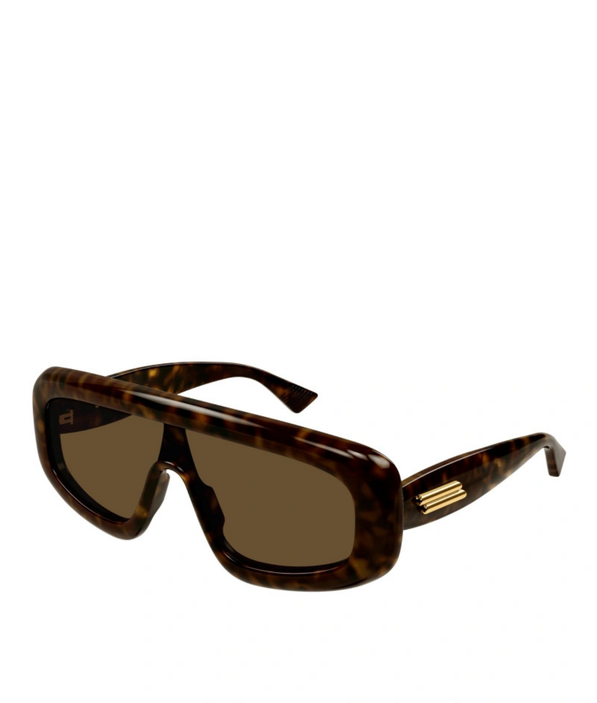 Shiny Havana-Brown