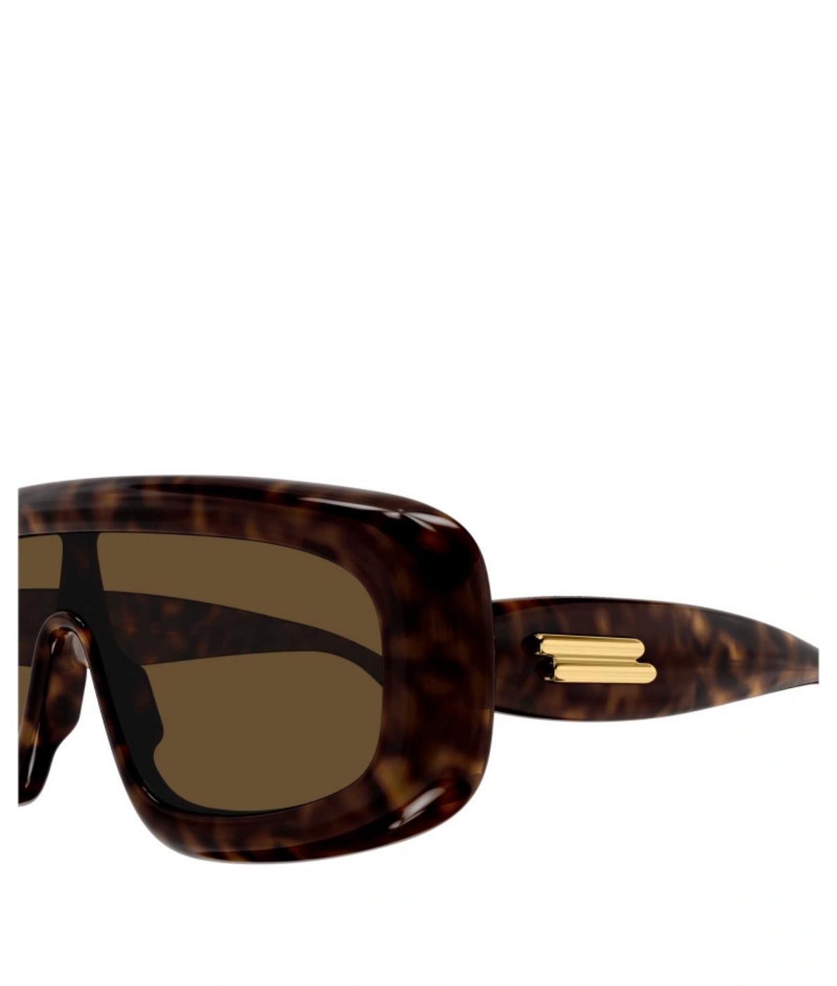 Shiny Havana-Brown