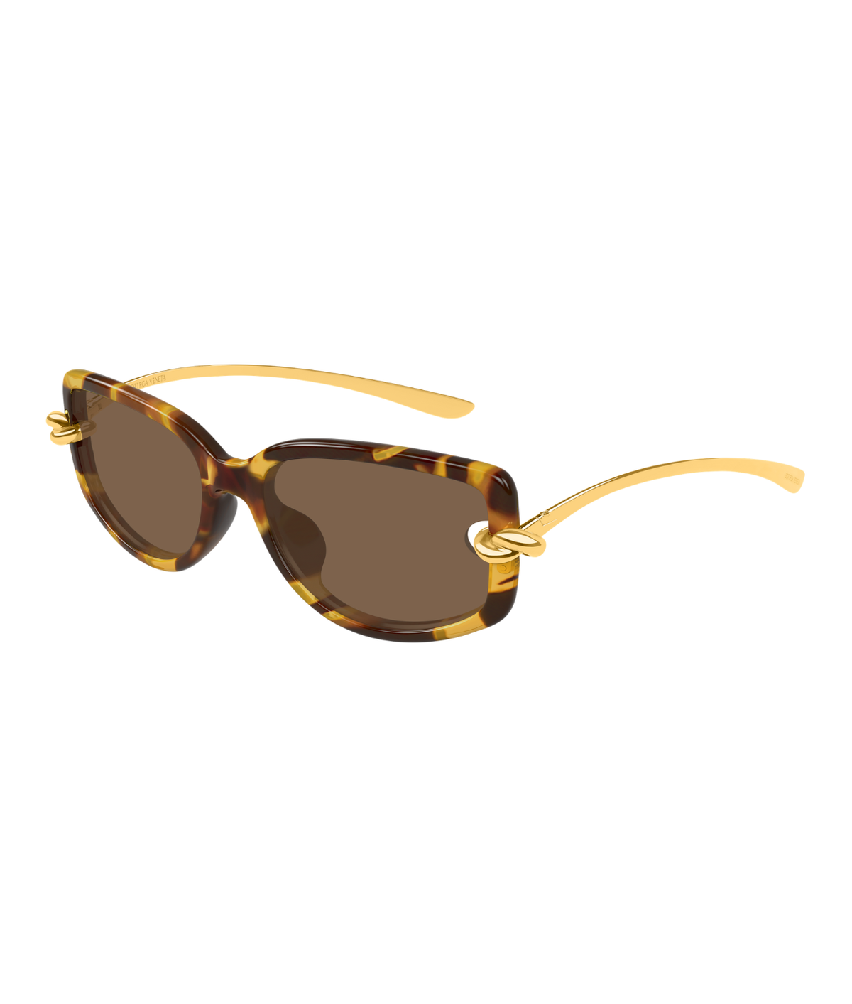 Havana-Brown