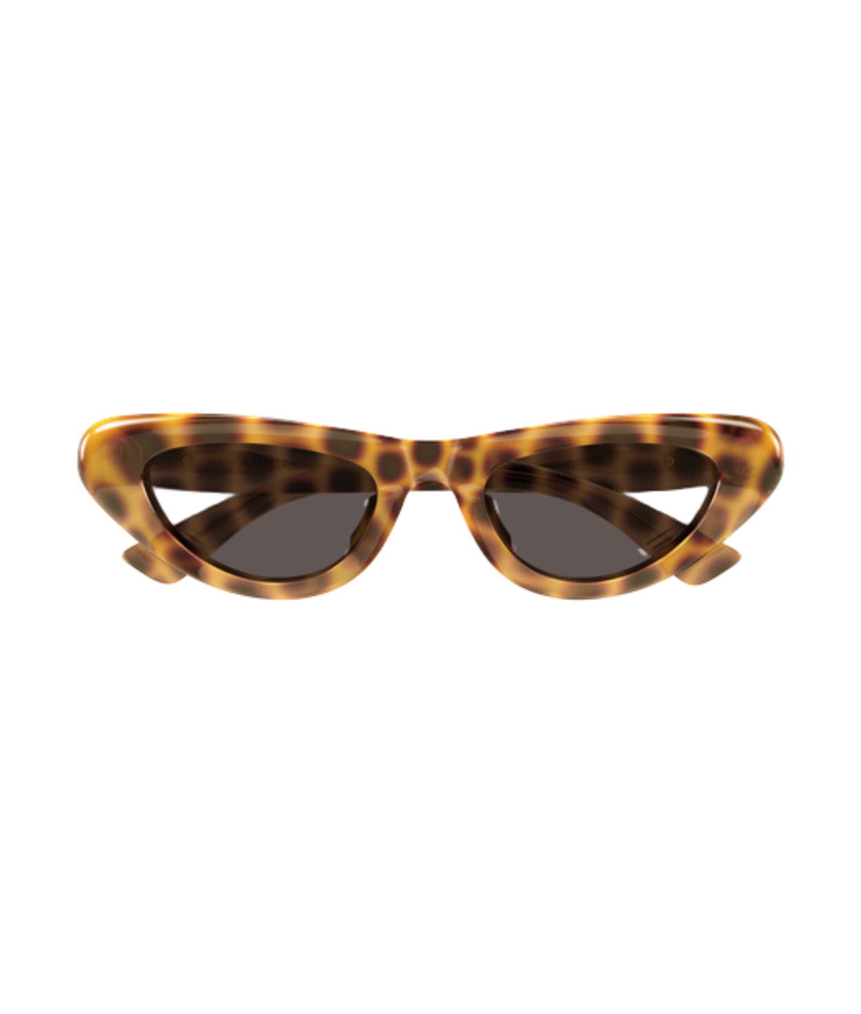 Havana-Brown