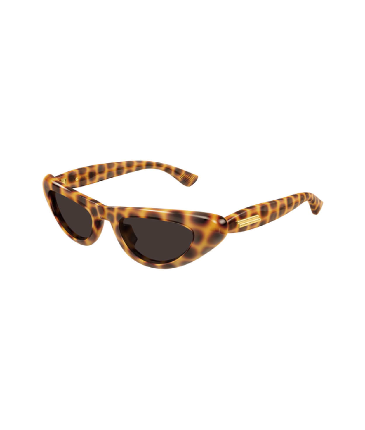 Havana-Brown