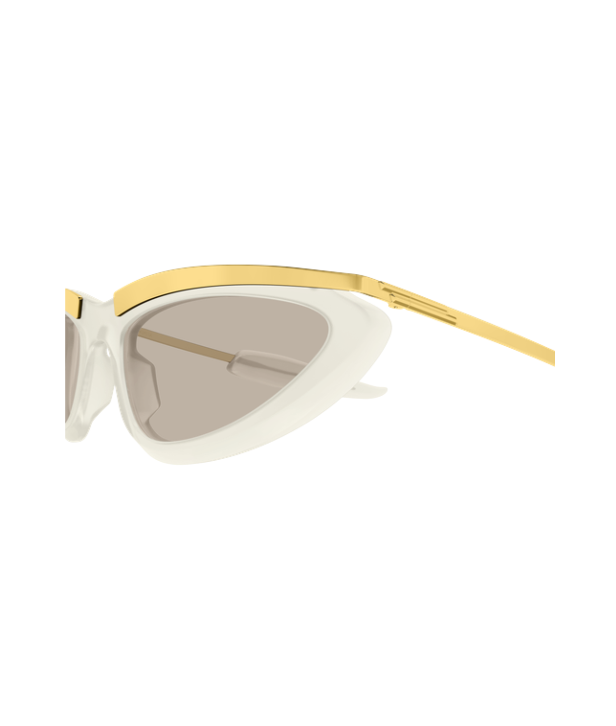 Ivory-Brown