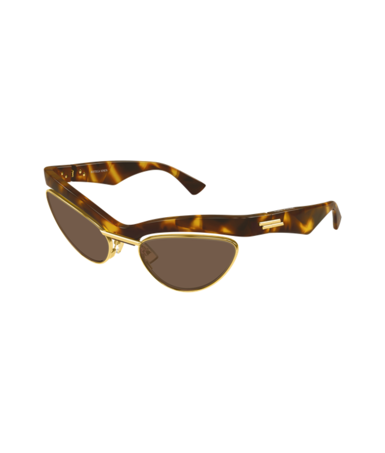 Havana-Brown