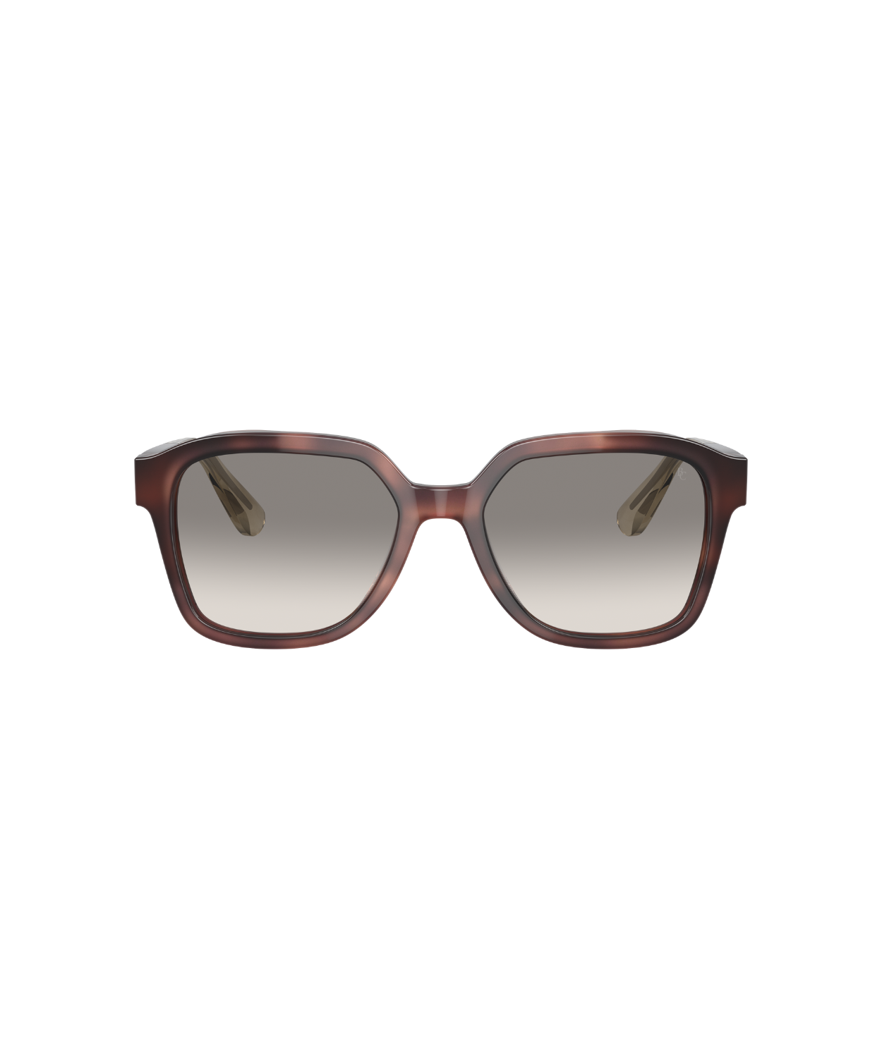 Havana Ortensia-Fumo