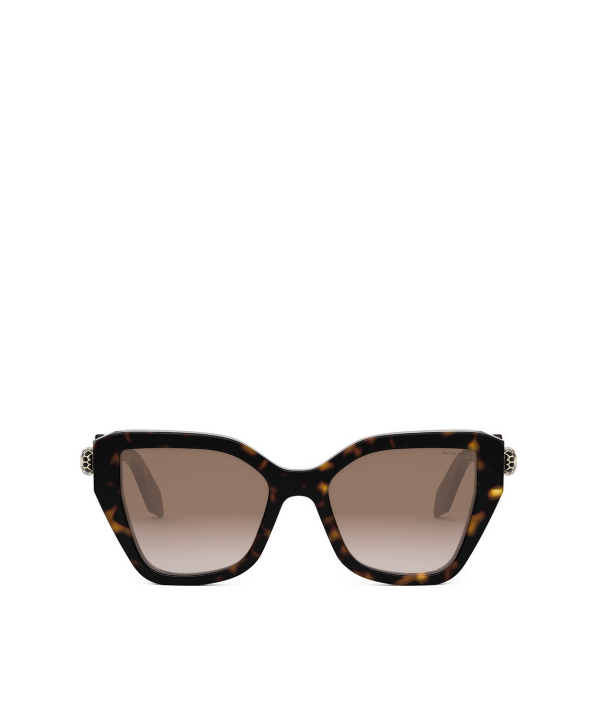 Shiny Dark Havana-Gradient Brown