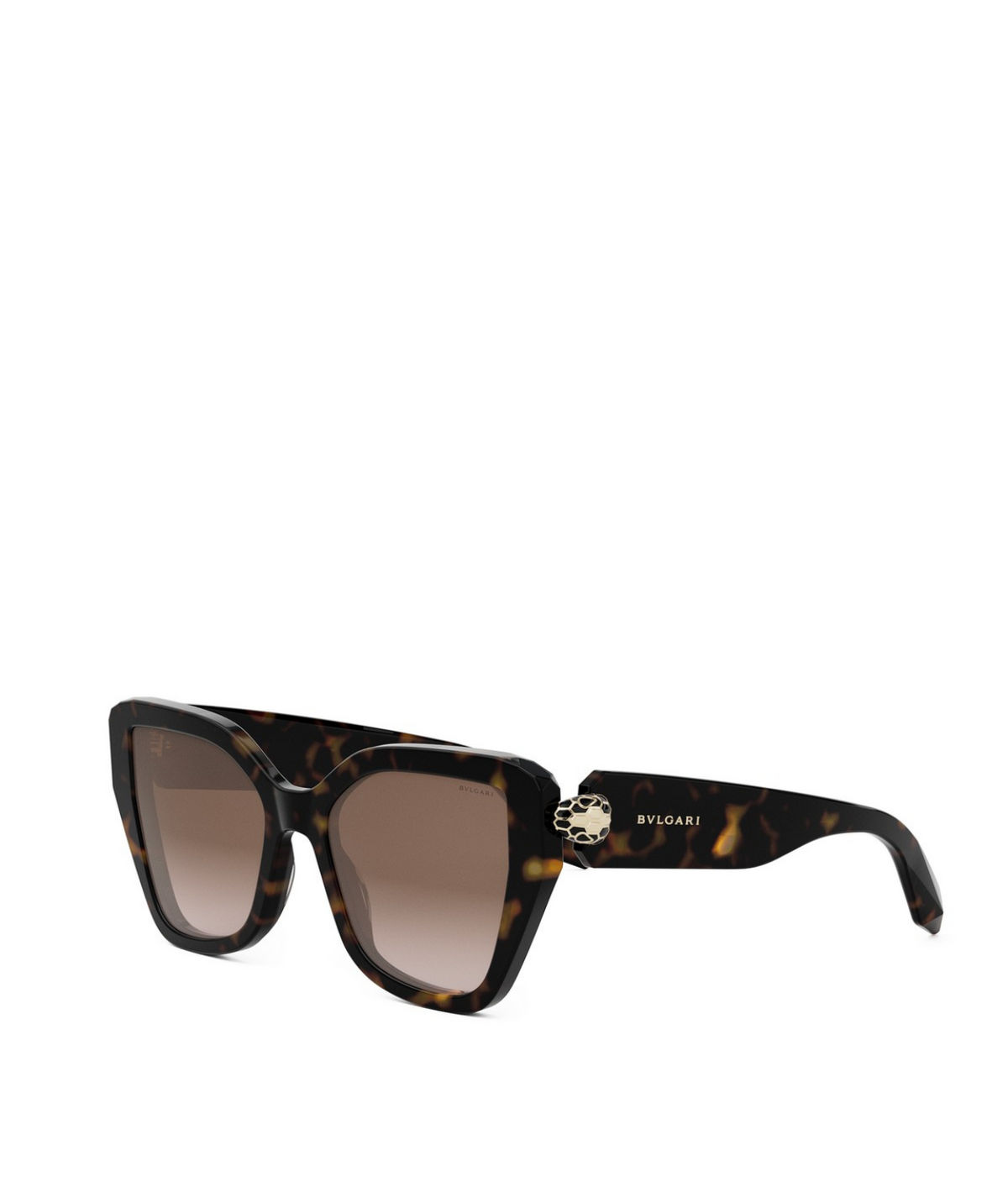 Shiny Dark Havana-Gradient Brown