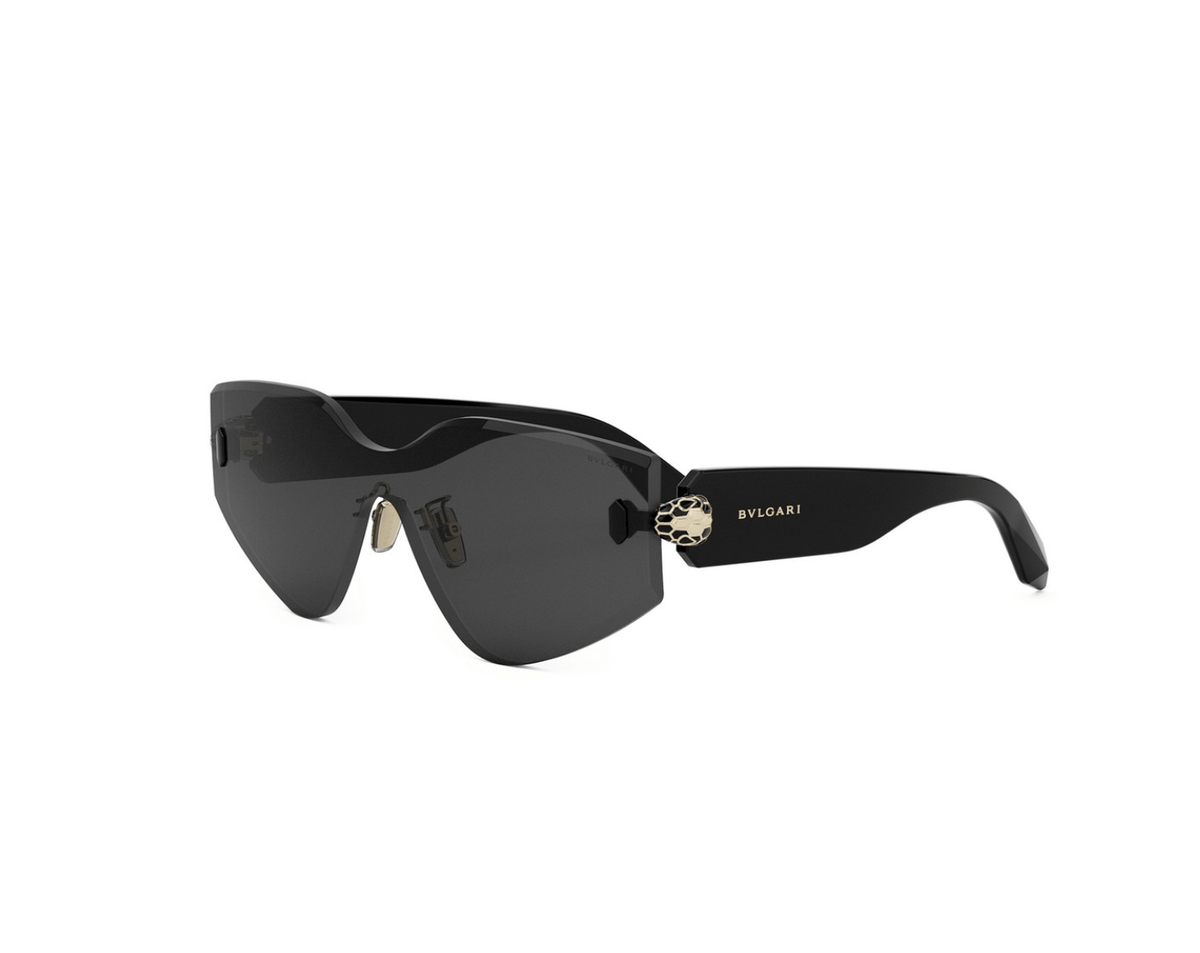Shiny Black-Grey