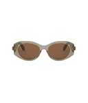 Shiny Brown-Brown