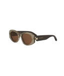 Shiny Brown-Brown