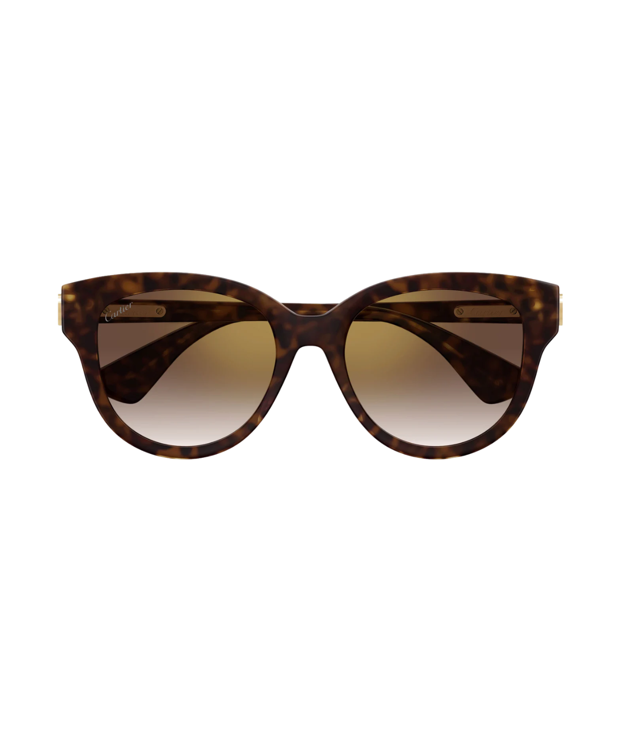 Havana-Brown