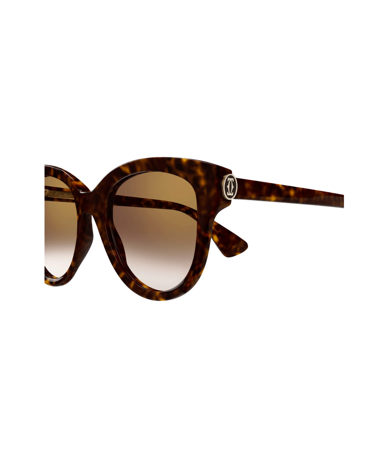 Havana-Brown