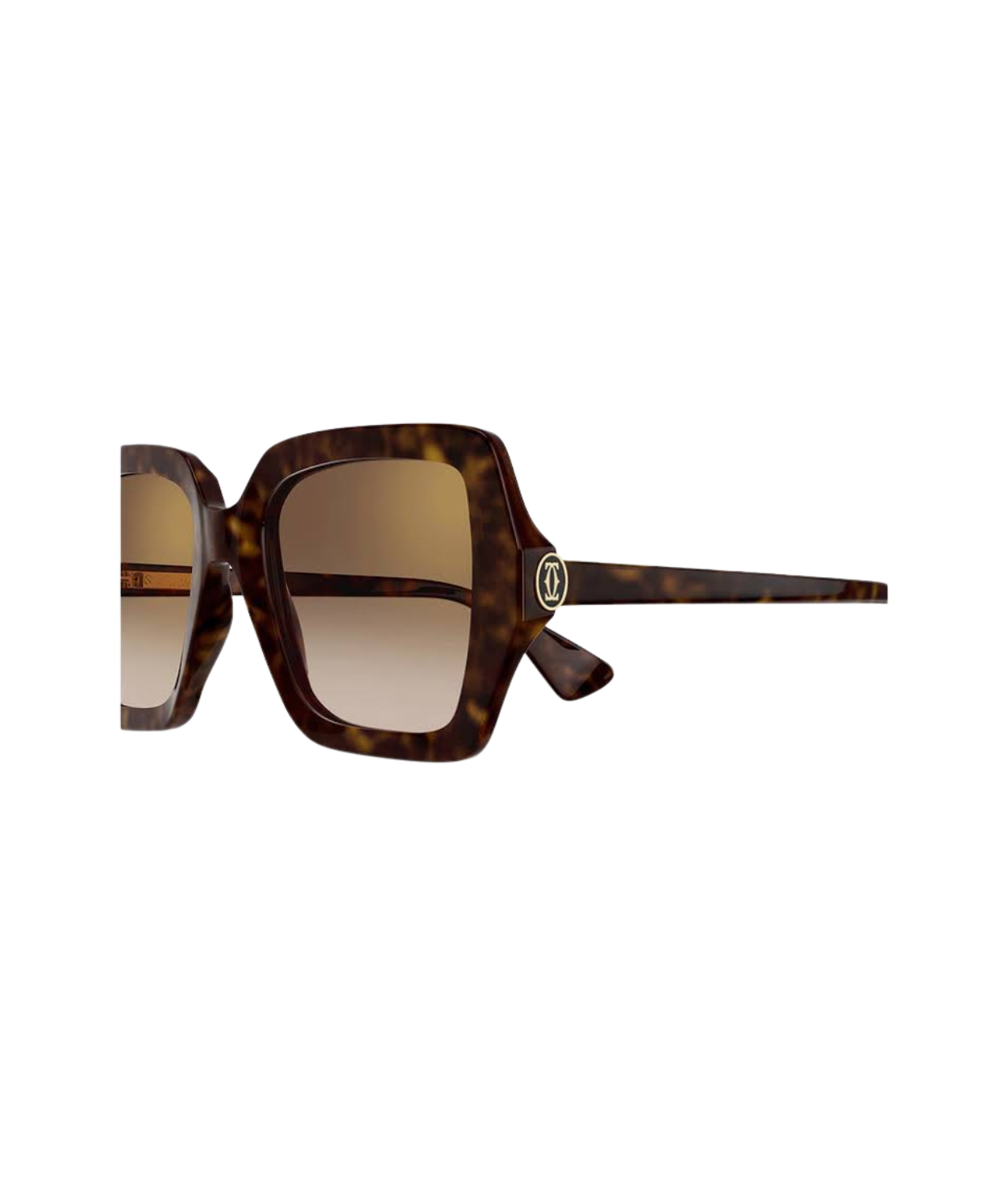 Havana-Brown