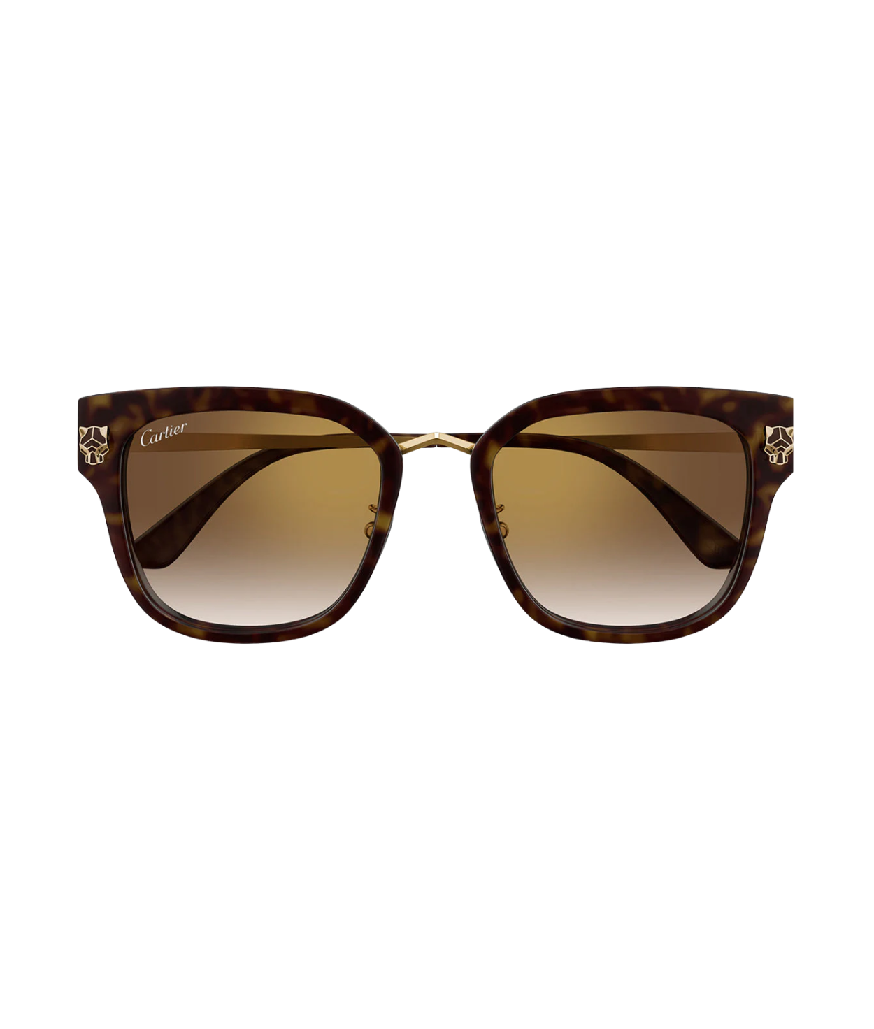 Havana Gold-Brown