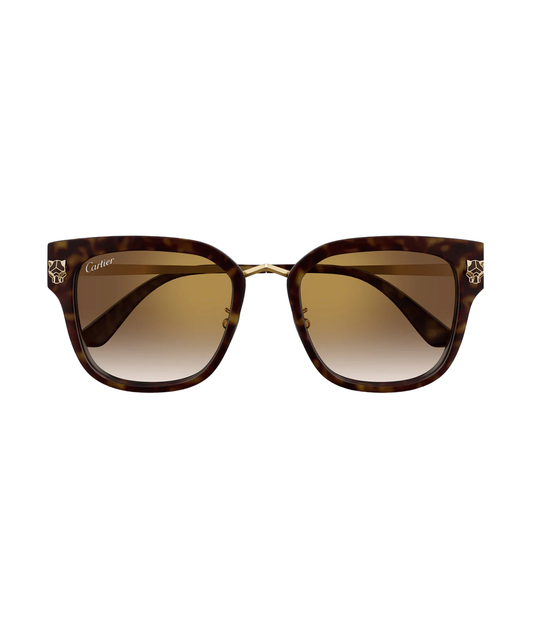 Havana Gold-Brown