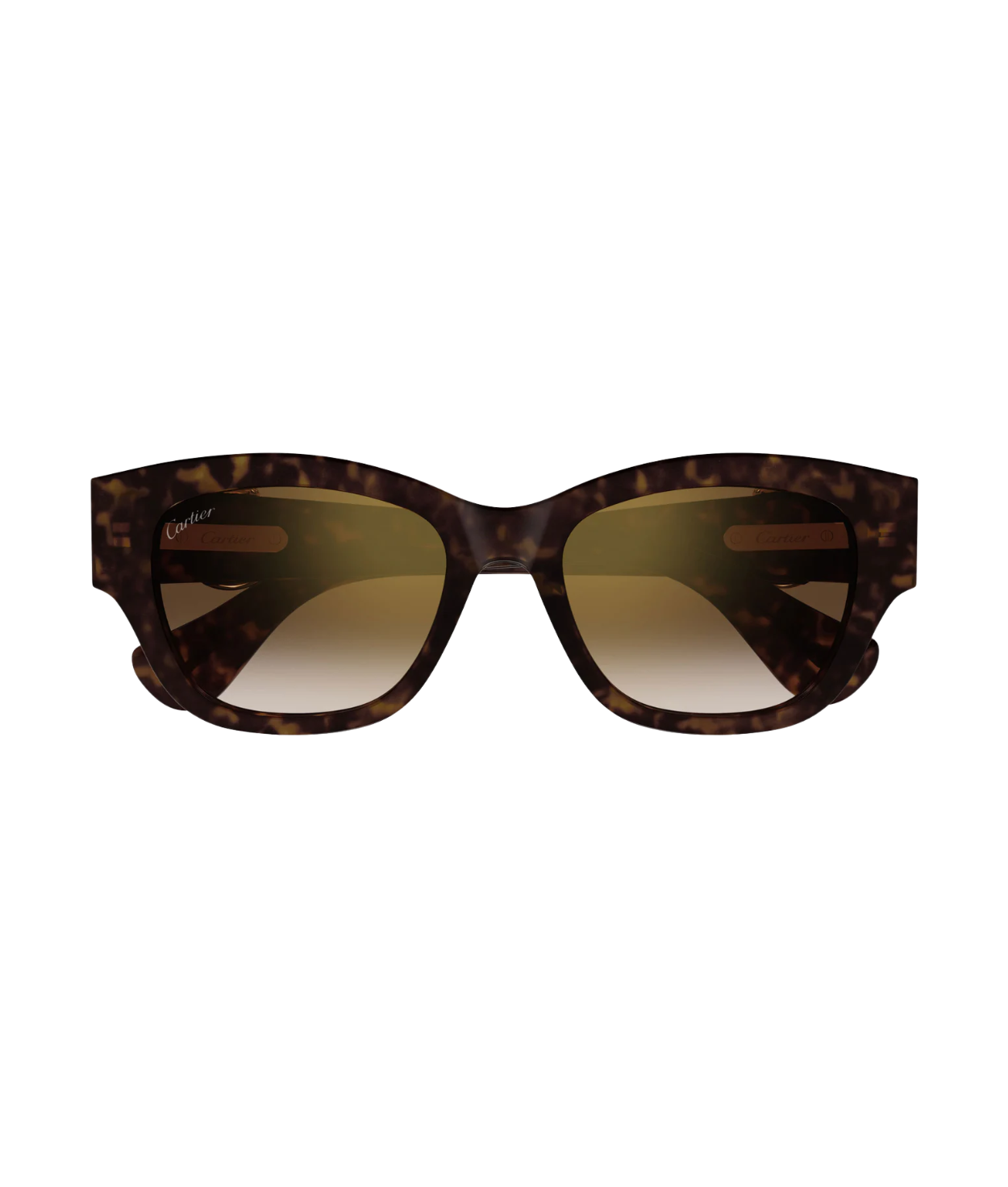 Havana-Brown