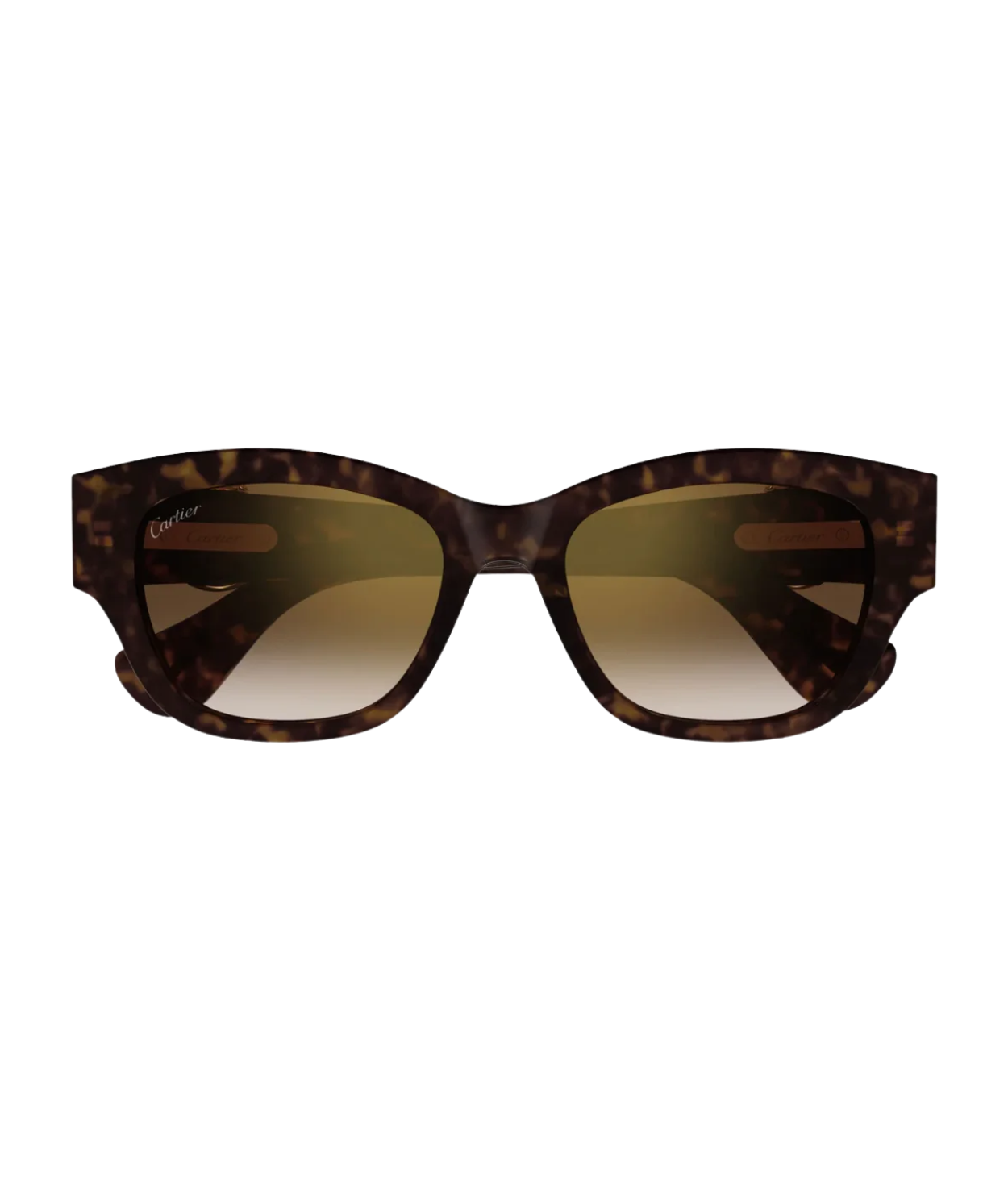 Havana-Brown