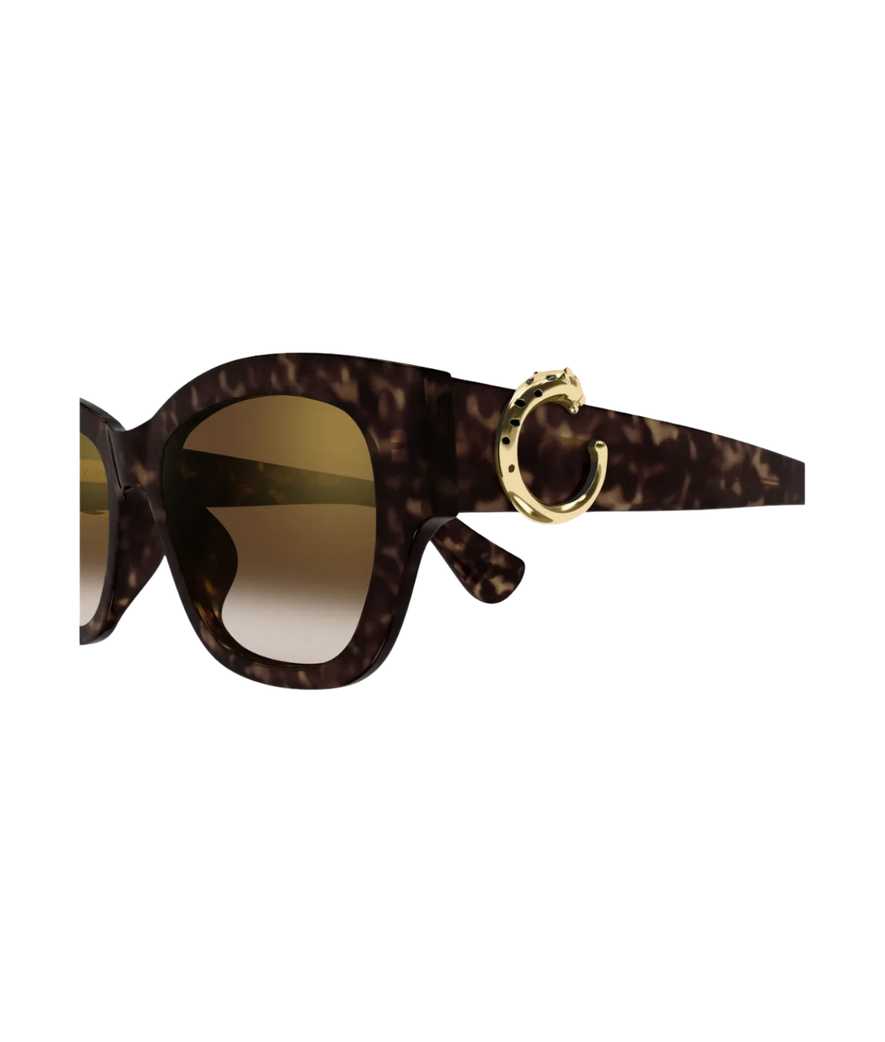 Havana-Brown