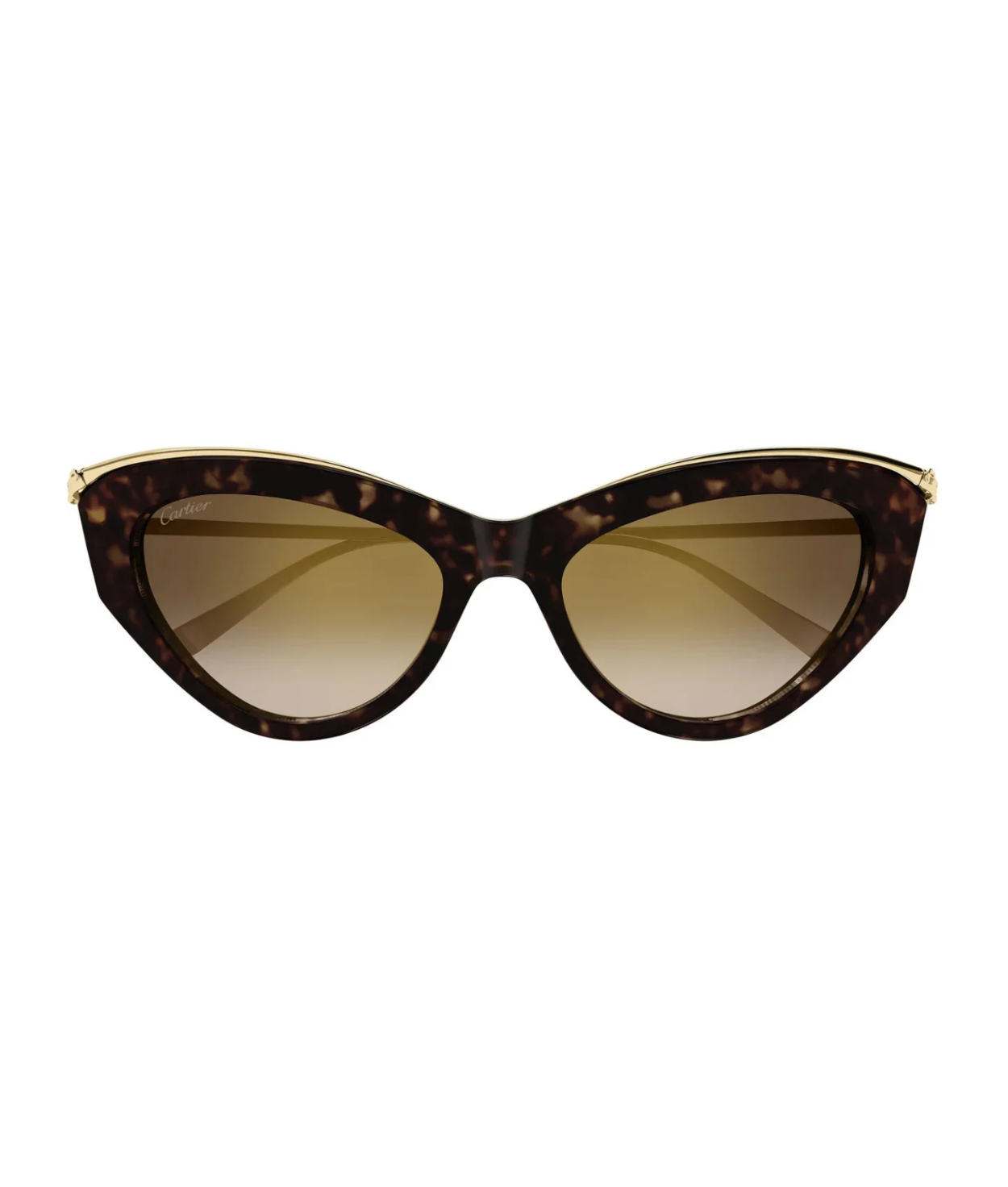 Havana Gold-Brown