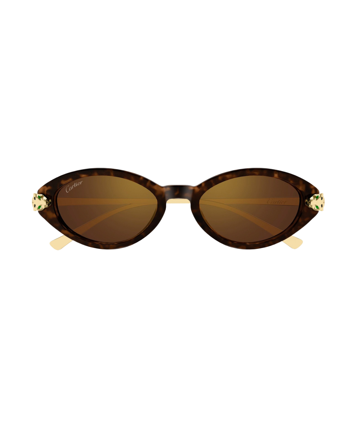 Havana Gold-Brown