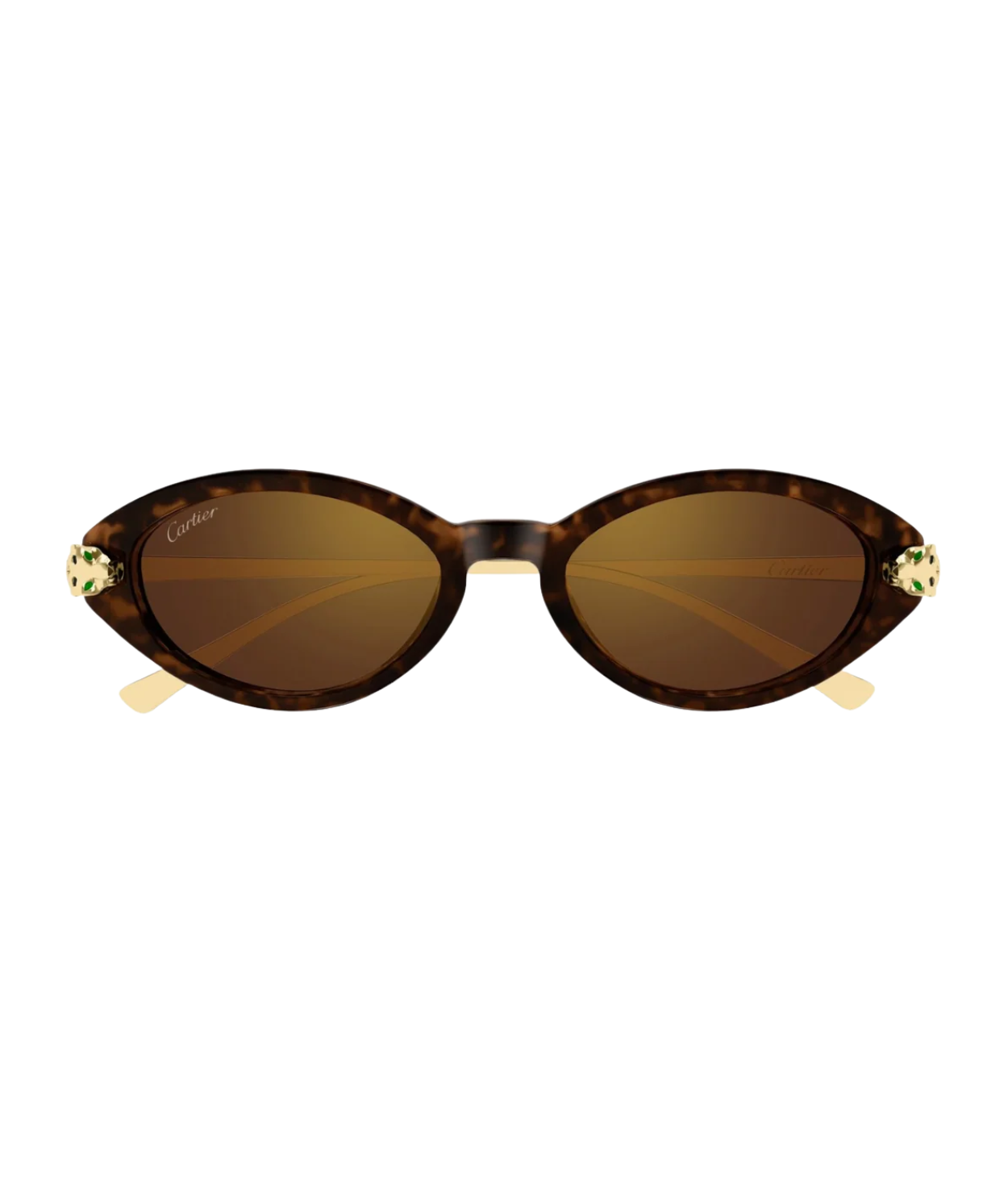 Havana Gold-Brown