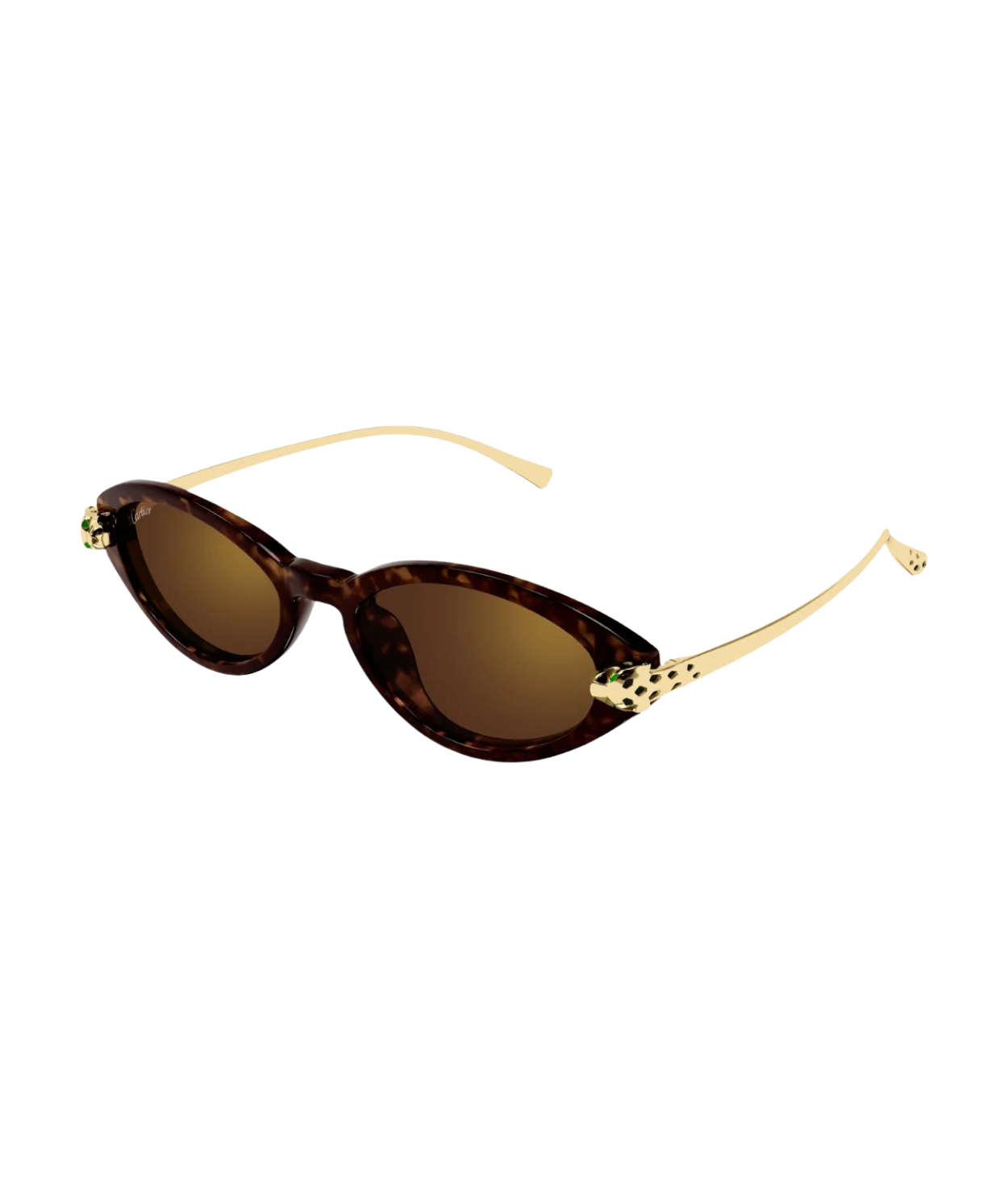 Havana Gold-Brown