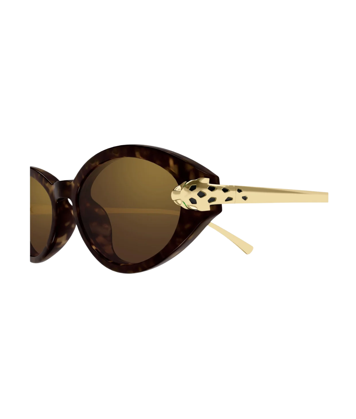 Havana Gold-Brown