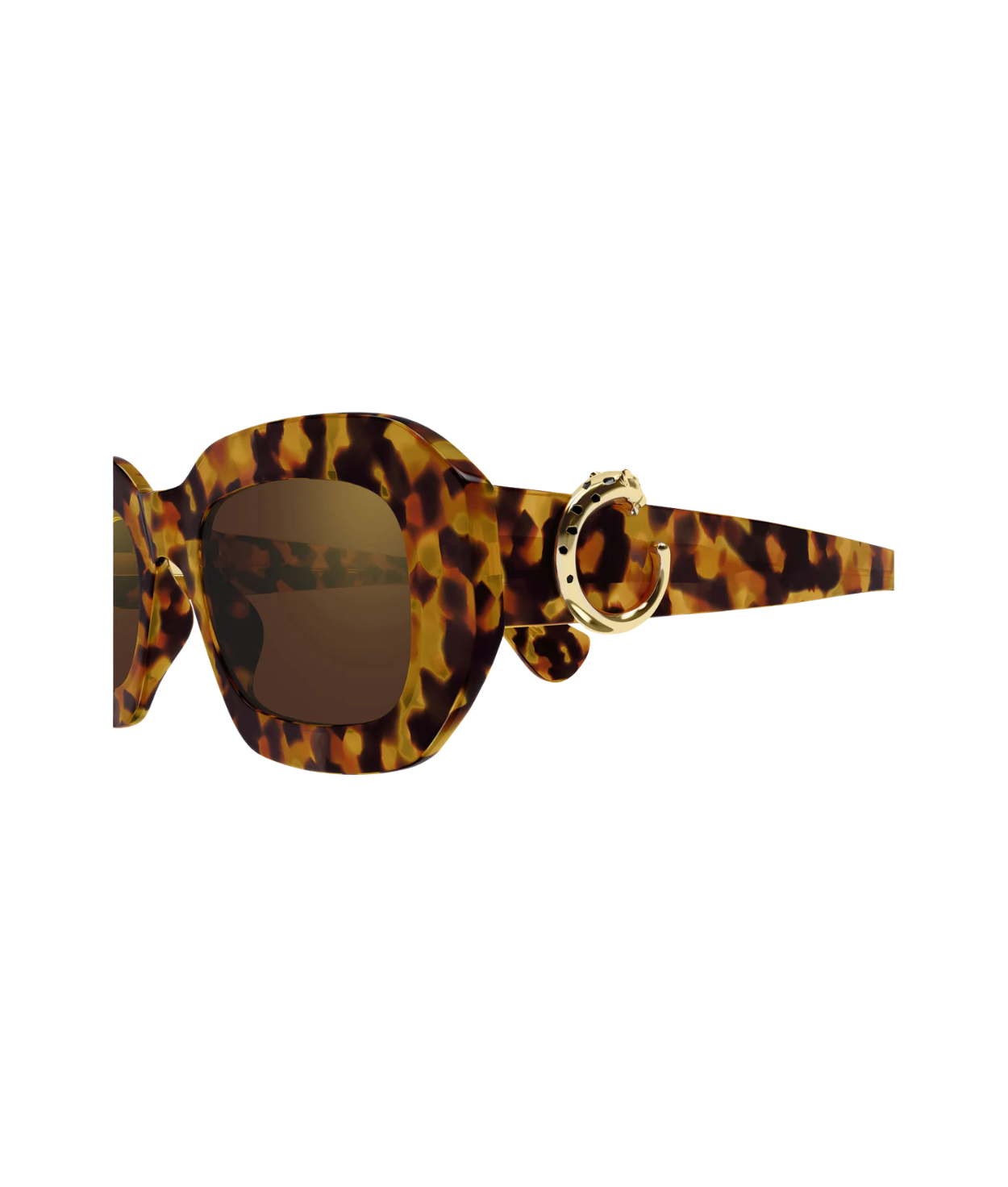 Havana - Brown