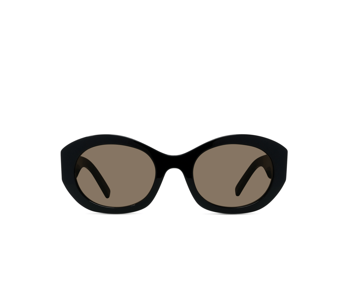Shiny Black-Brown