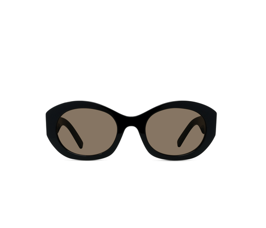 Shiny Black-Brown