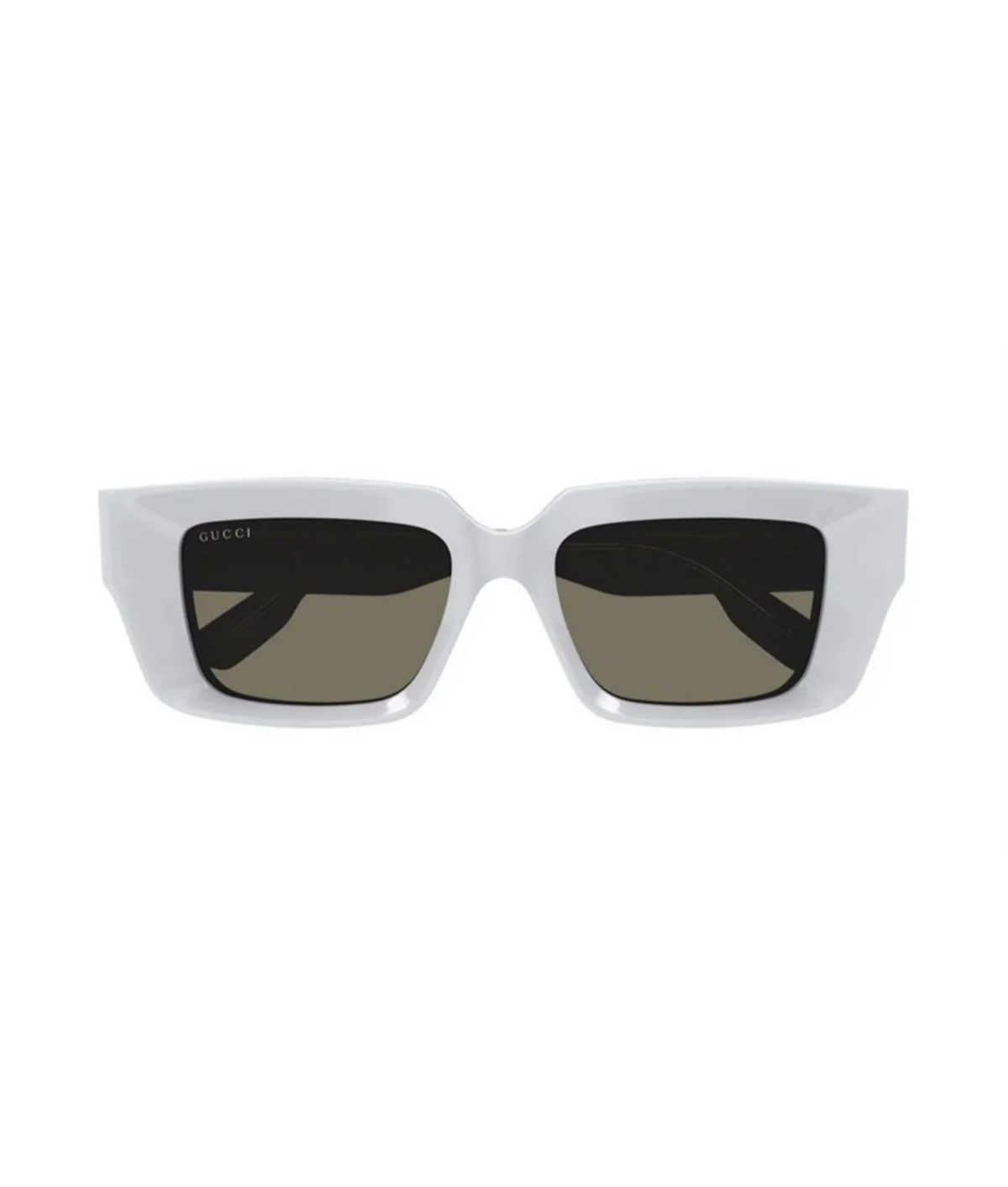 Shiny Grey-Light brown