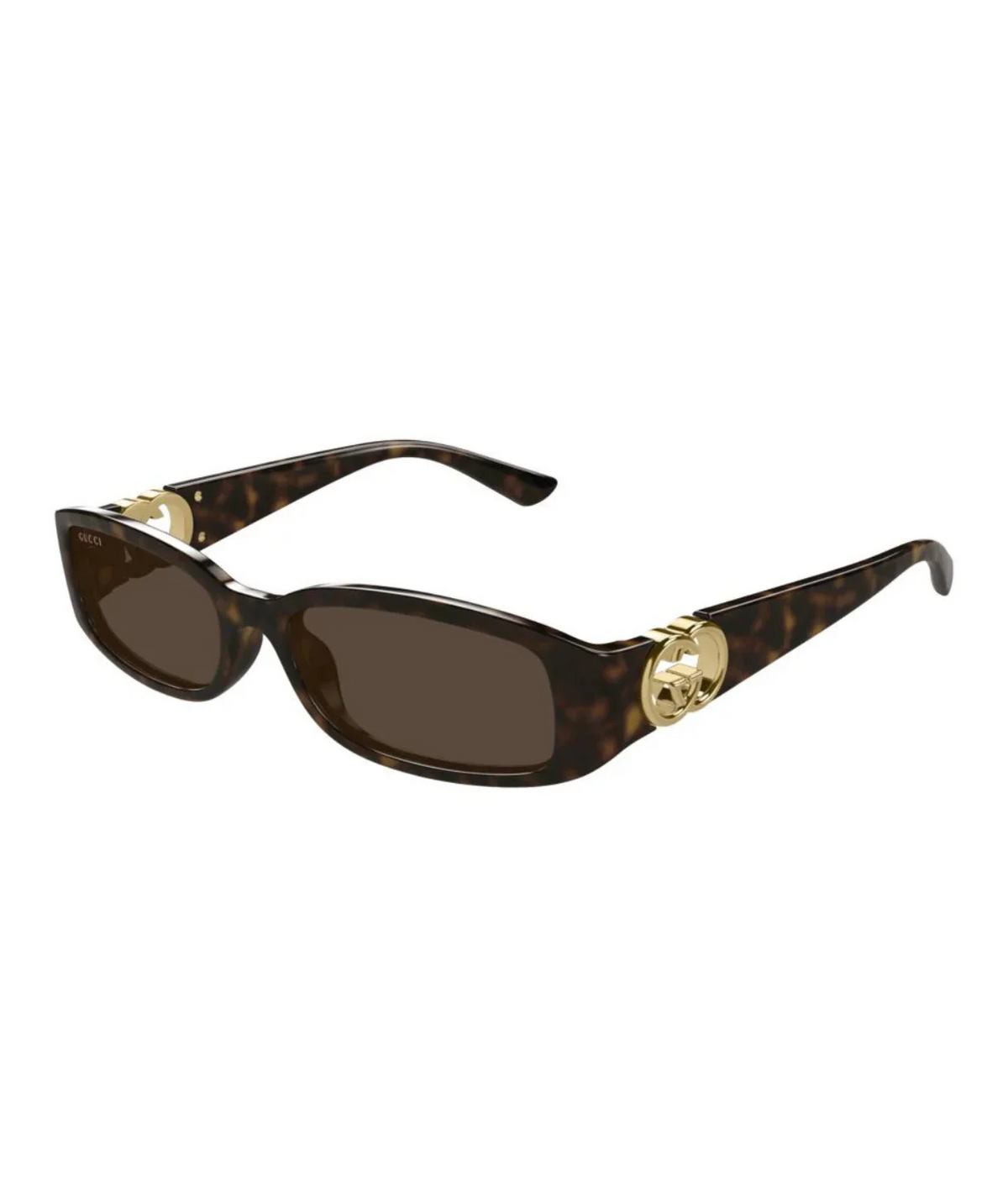 Shiny Dark Havana-Brown