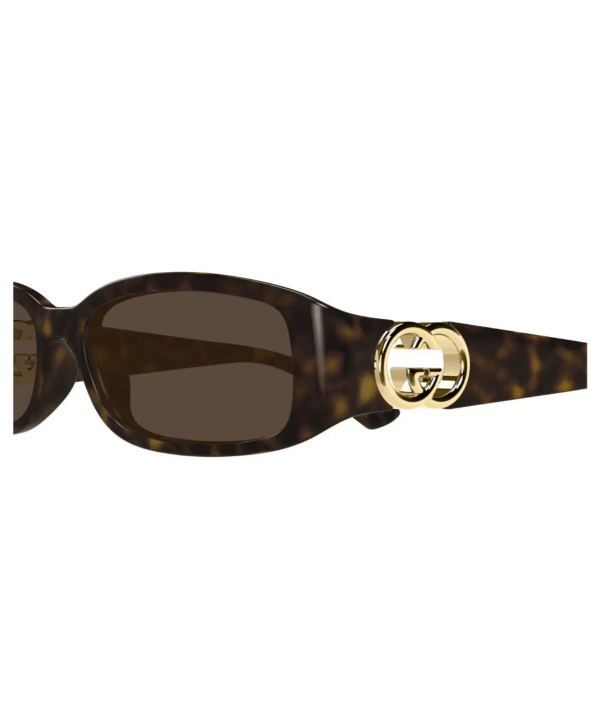 Shiny Dark Havana-Brown