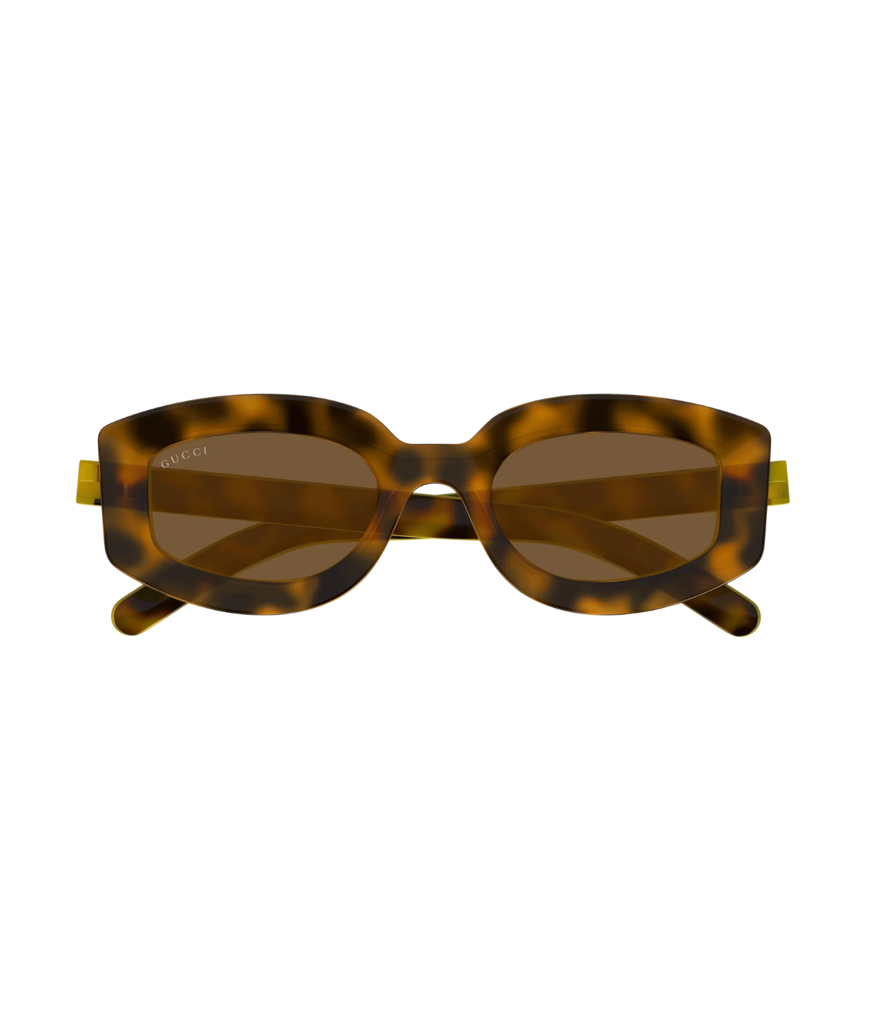 Havana-Brown