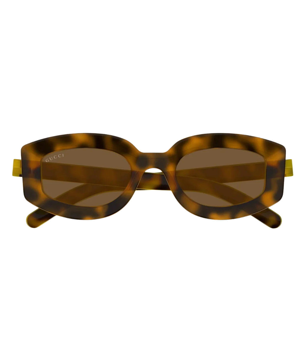Havana-Brown