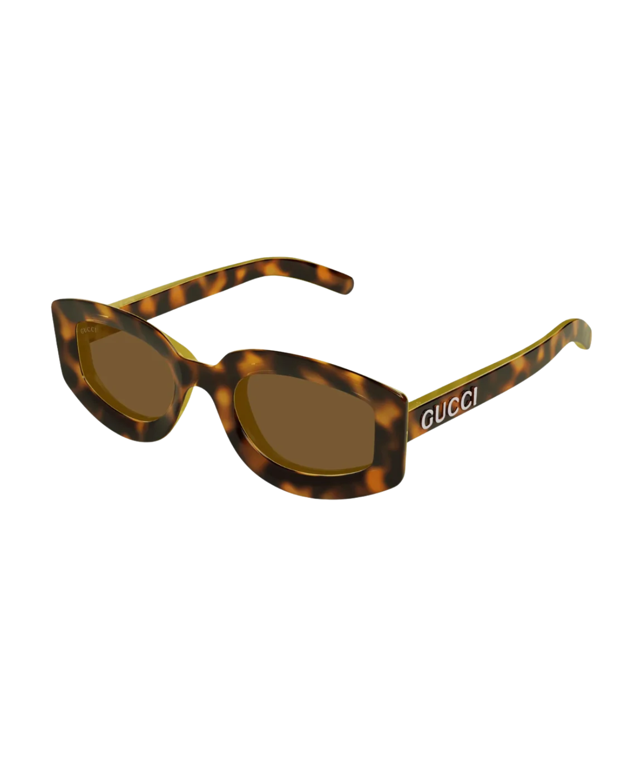 Havana-Brown
